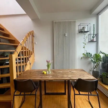 Apartment Dachterrasse Im Gruenen Schleussig Leipzig