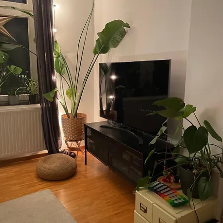 Apartment Dachterrasse Im Gruenen Schleussig