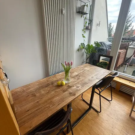 Apartment Dachterrasse Im Gruenen Schleussig *